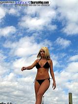 springfling Show Images Page 9